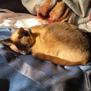 Meet your Posher, Hannah